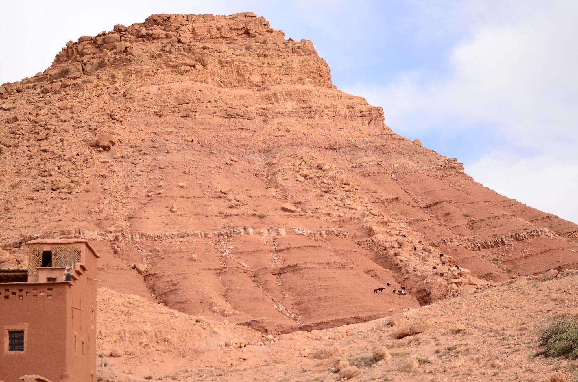 Bed and Breakfast Kasbah Du Peintre Ait Benhaddou Exterior foto