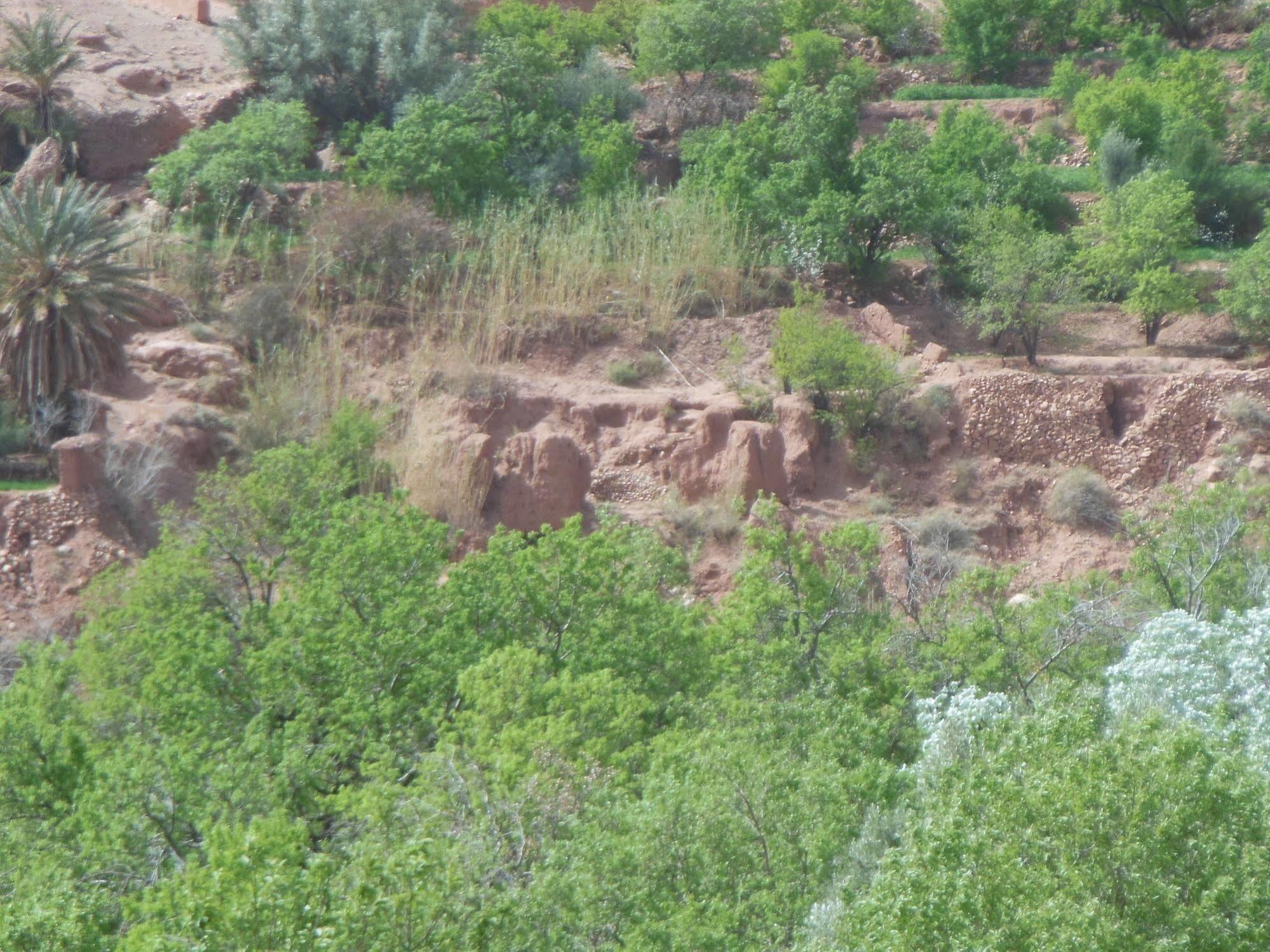 Bed and Breakfast Kasbah Du Peintre Ait Benhaddou Exterior foto